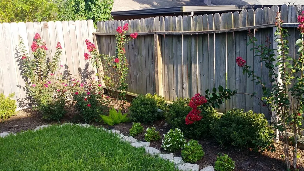 Top-rated lawn care service in Houston, TX by Texas Care Landscaping