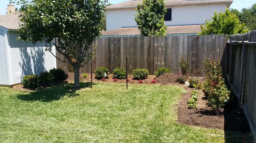 Affordable yard cleanup service for homes across Houston, TX - Texas Care Landscaping