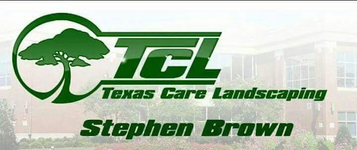 Professional yard cleanup service in Houston, TX by Texas Care Landscaping