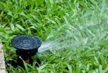 Local lawn care service in Houston, TX - Texas Care Landscaping