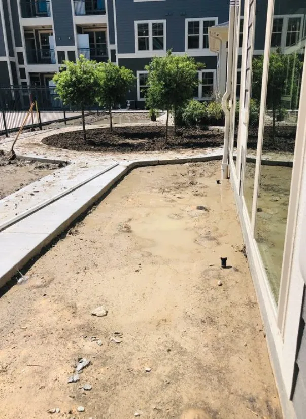 Local yard maintenance for outdoor upgrades across Houston, TX - Texas Castro Landscaping