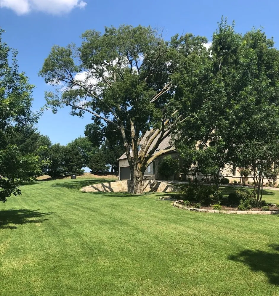 Local lawn care service experts serving Melissa, TX - Texas Cherry Lawns