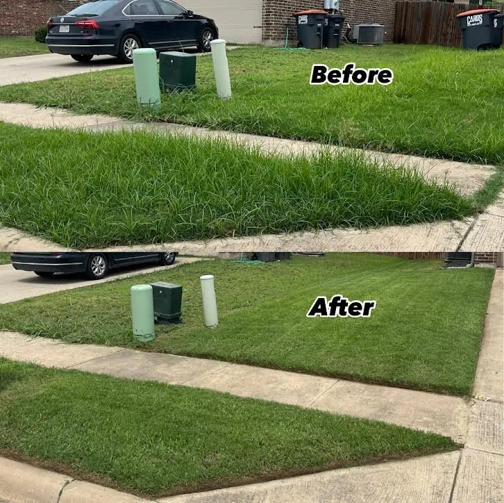 Reliable yard maintenance experts serving Melissa, TX - Texas Cherry Lawns