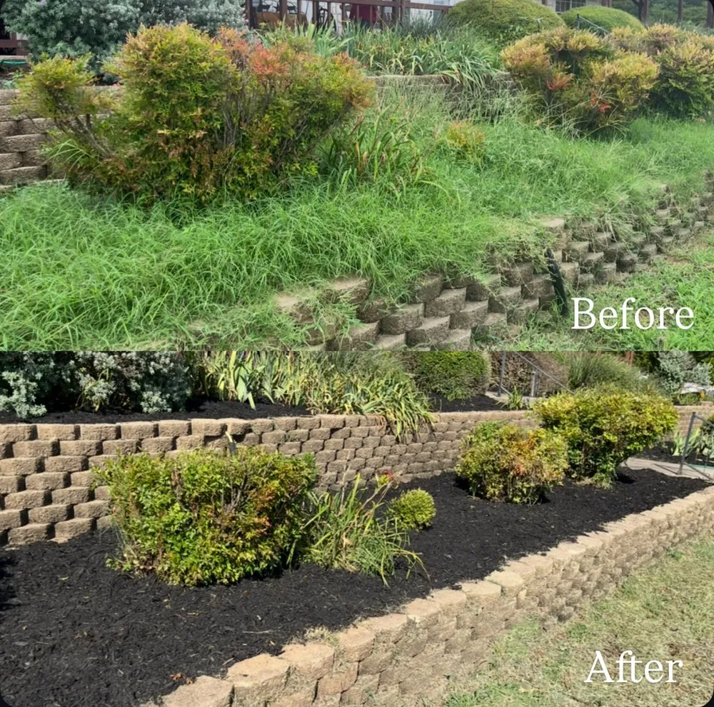 Expert landscape design near you across Melissa, TX - Texas Cherry Lawns