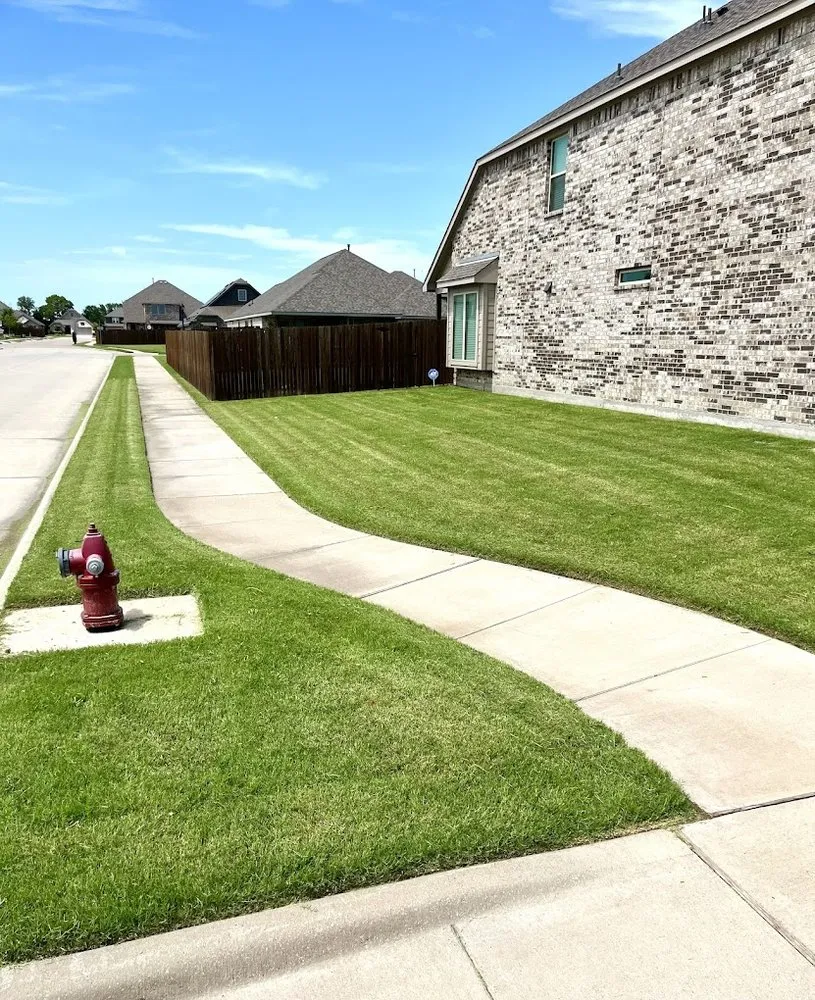 Top-rated landscape installation experts serving Melissa, TX - Texas Cherry Lawns