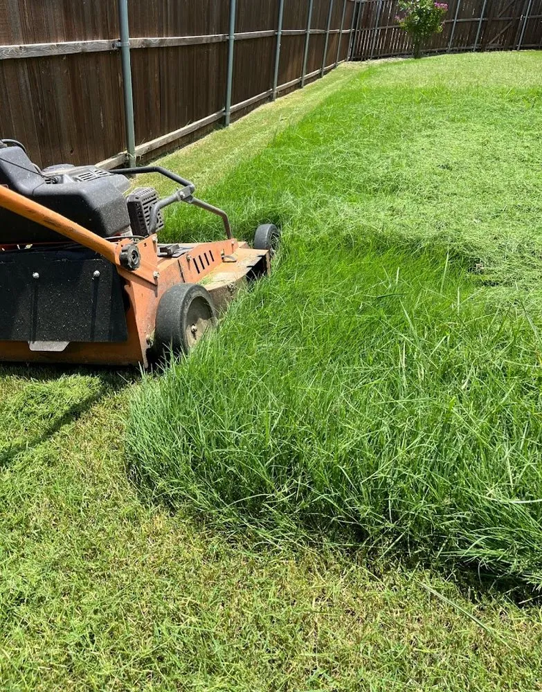 Affordable lawn care service in Melissa, TX by Texas Cherry Lawns