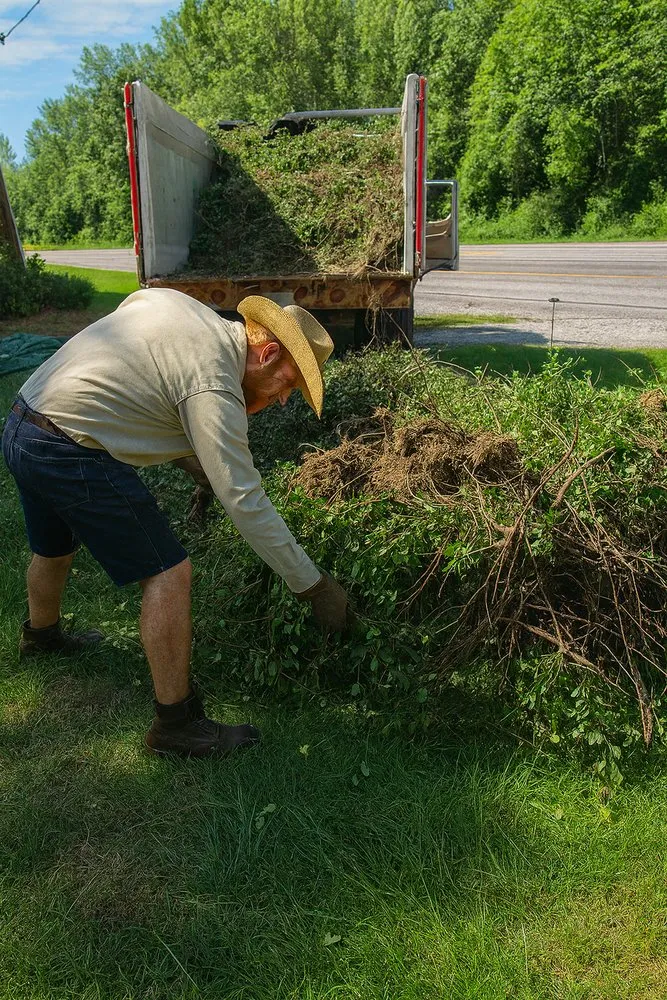 Expert lawn mowing service in Austin, TX by Texas Country Lawn Care