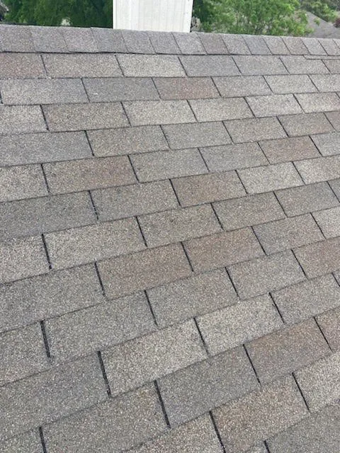 Top-rated yard maintenance in Burleson, TX - Texas Custom Contractor Association