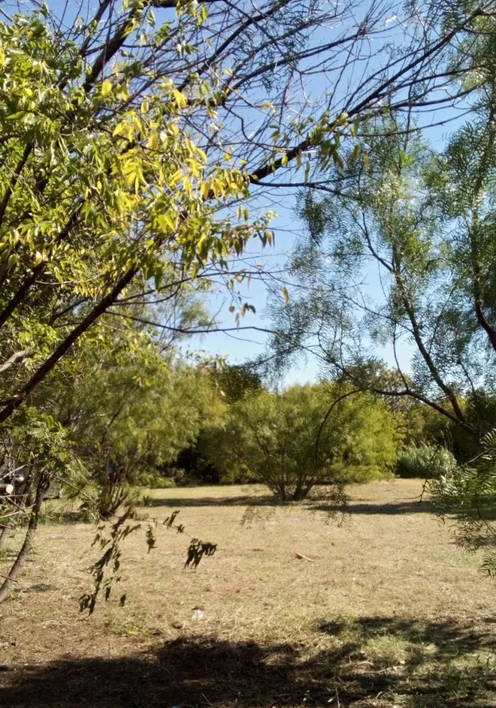 Professional outdoor landscaping for beautiful yards in Abilene, TX by Texas Cut & Lawn Care