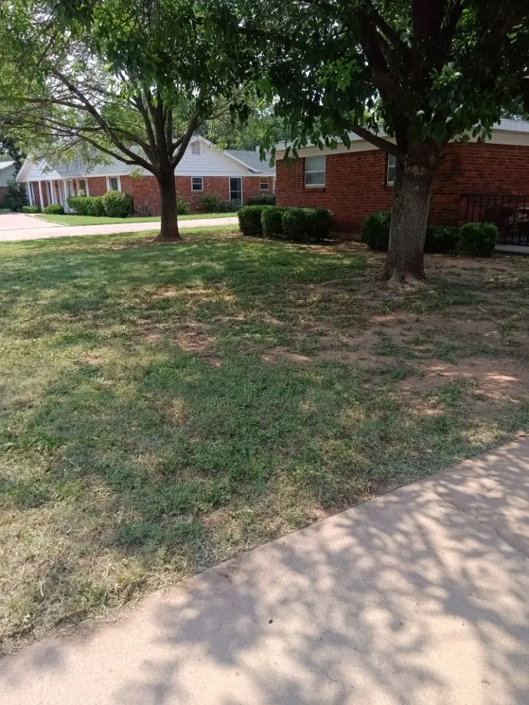 Trusted lawn care service in Abilene, TX by Texas Cut & Lawn Care