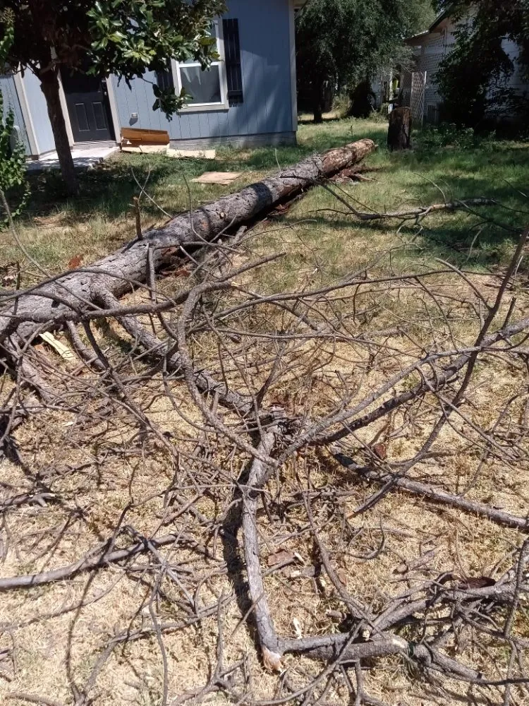 Affordable landscape installation in Abilene, TX by Texas Cut & Lawn Care