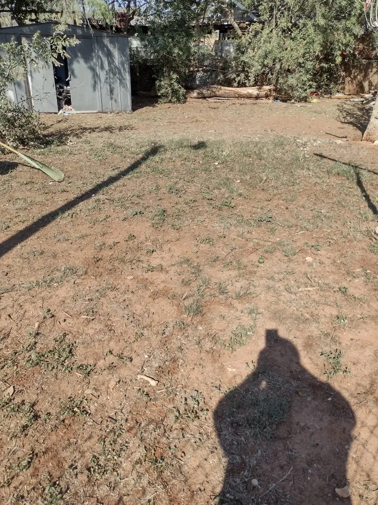 Reliable yard cleanup service in Abilene, TX by Texas Cut & Lawn Care