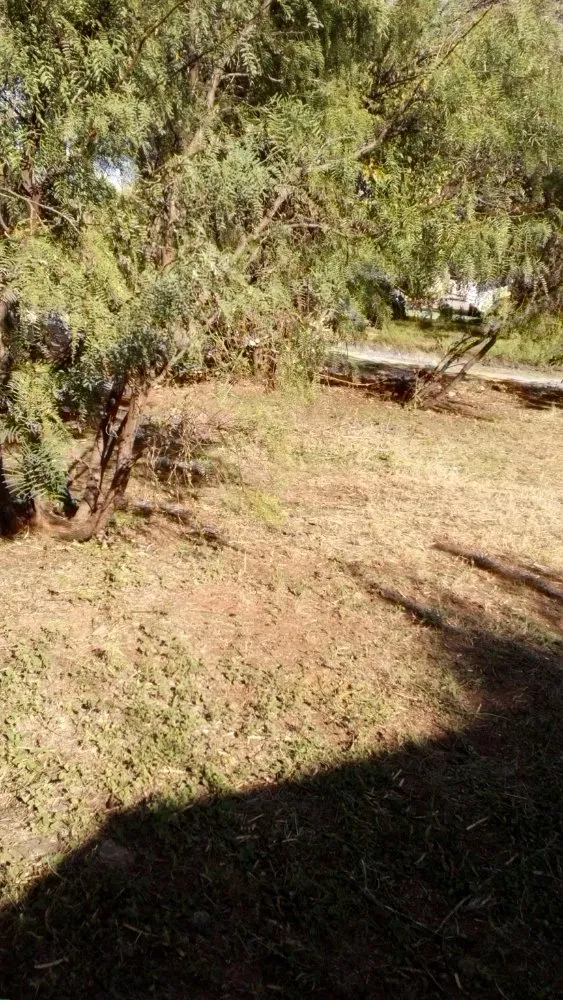 Trusted residential landscaping for beautiful yards in Abilene, TX by Texas Cut & Lawn Care