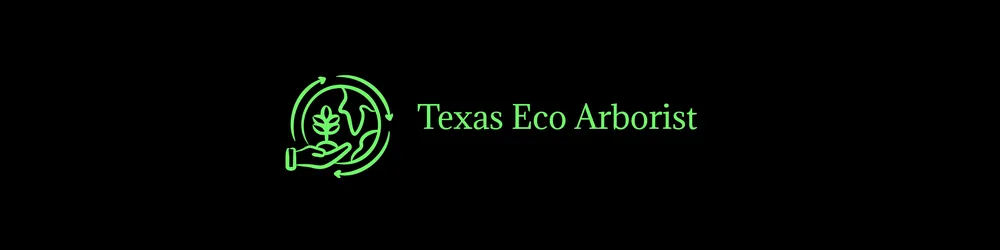 Local outdoor landscaping experts serving Houston, TX - Texas Eco Arborist