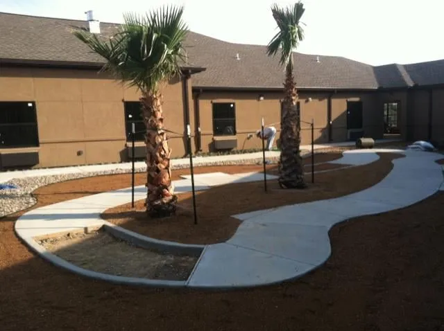 Custom lawn care service with custom design in Austin, TX by Texas Ecogrow