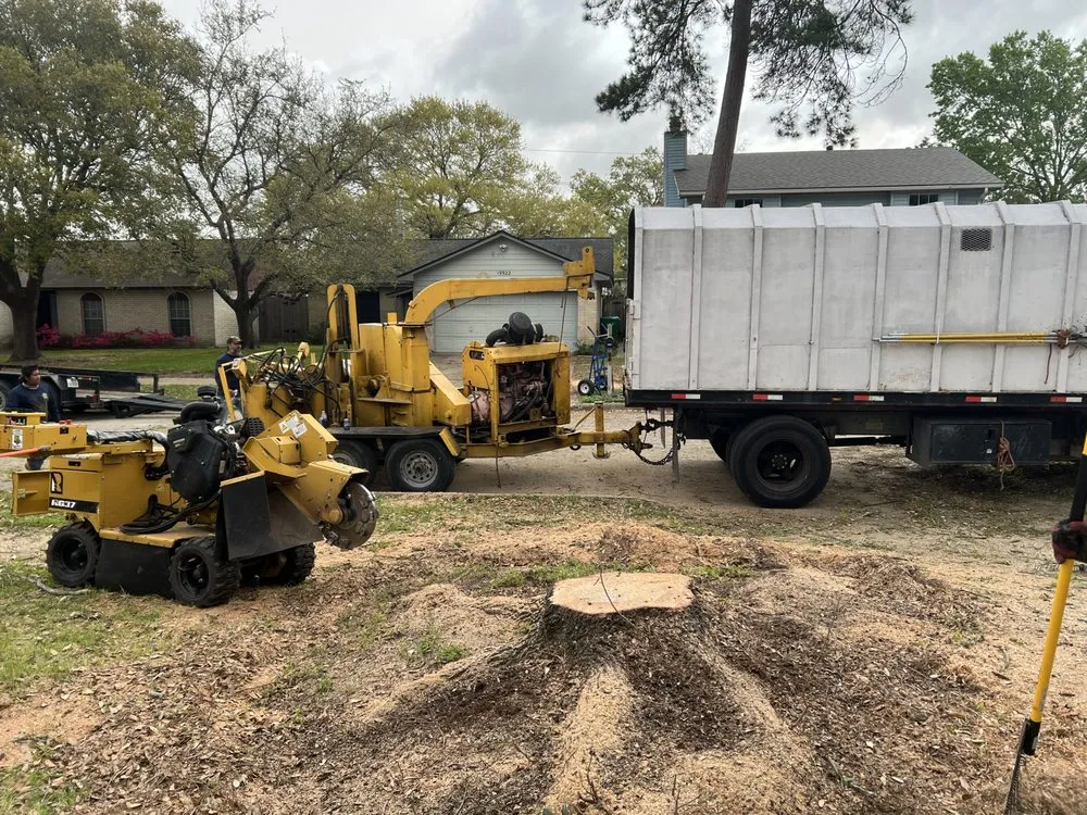 Local landscape design in Houston, TX by Texas Elite Tree & Outdoors