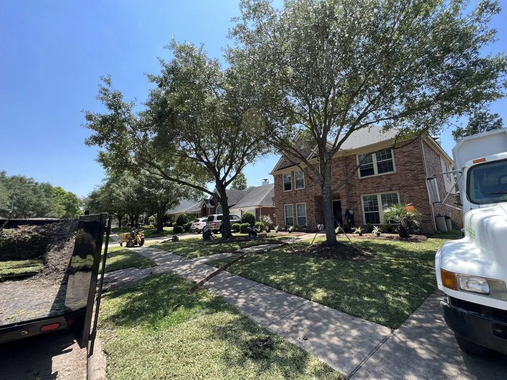 Expert outdoor landscaping in Houston, TX by Texas Elite Tree & Outdoors