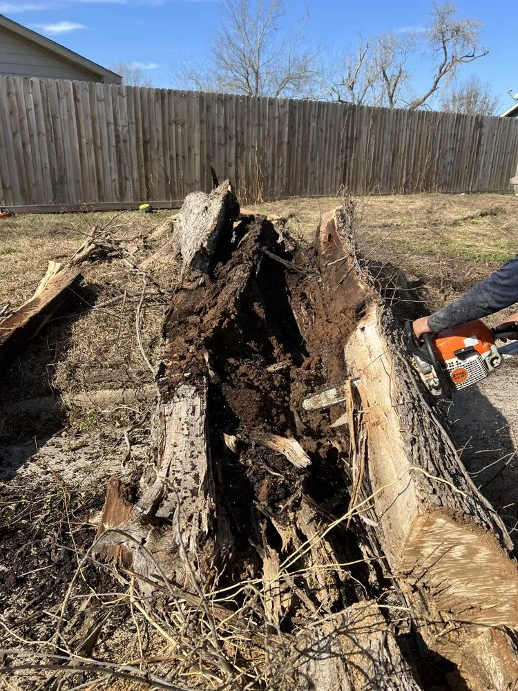 Local residential landscaping in Houston, TX by Texas Elite Tree & Outdoors