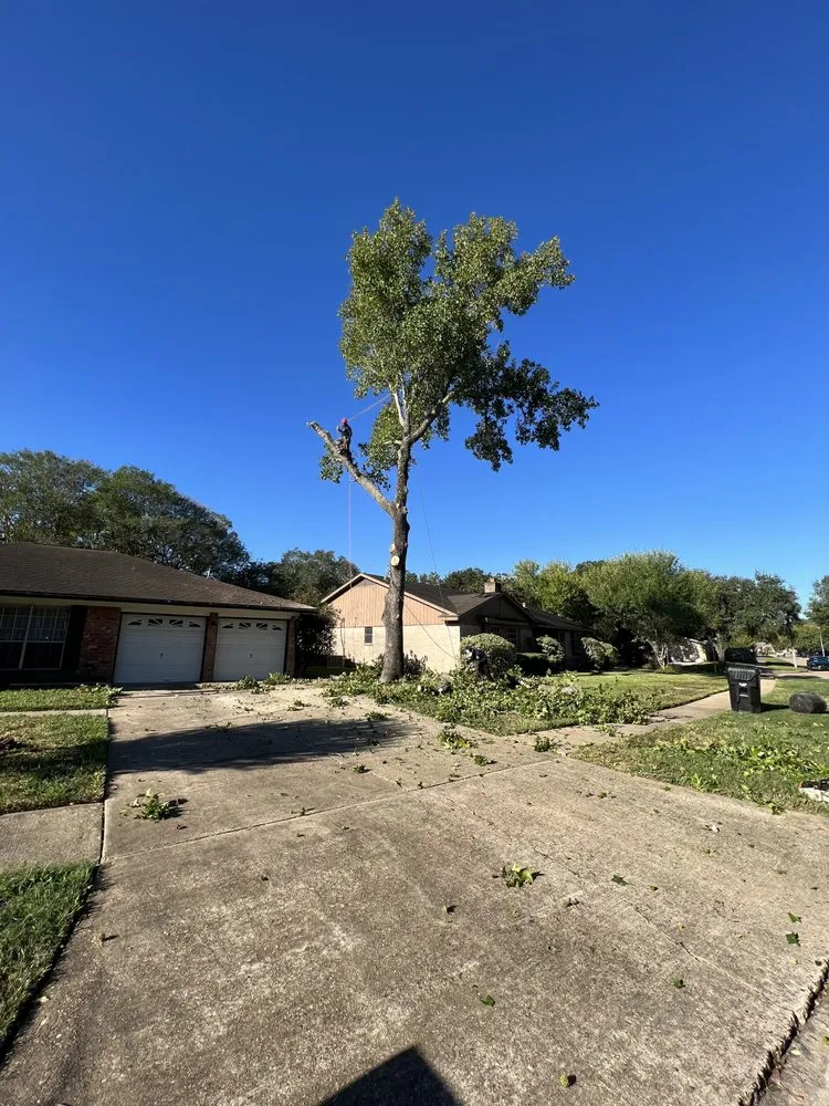 Expert residential landscaping in Houston, TX by Texas Elite Tree & Outdoors