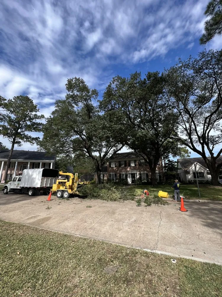 Professional landscaping services in Houston, TX - Texas Elite Tree & Outdoors