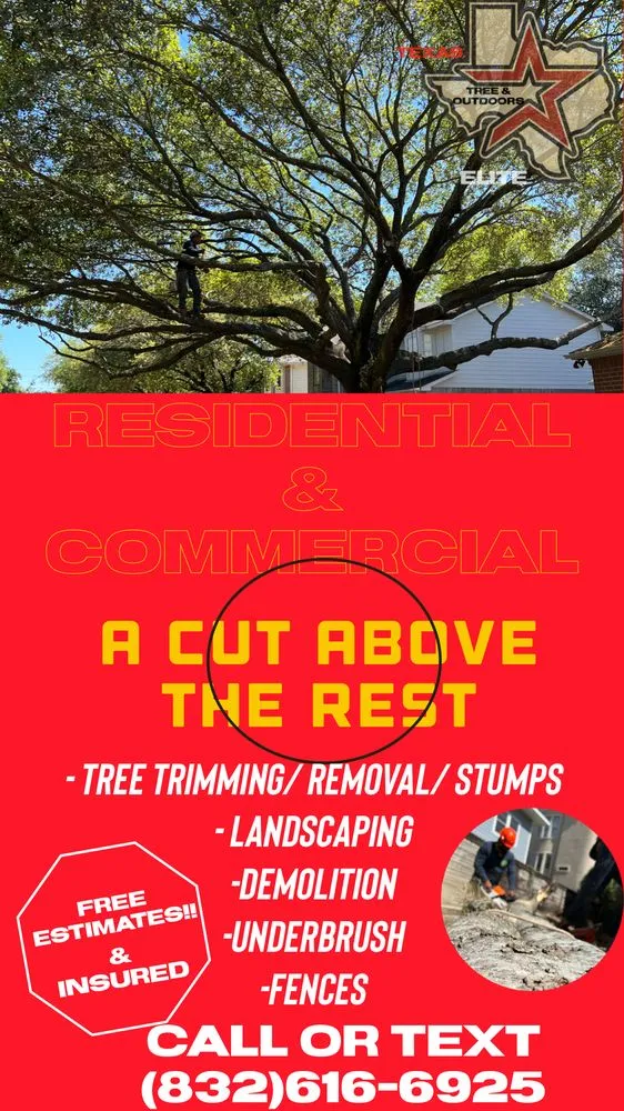 Custom landscape installation for outdoor upgrades across Houston, TX - Texas Elite Tree & Outdoors