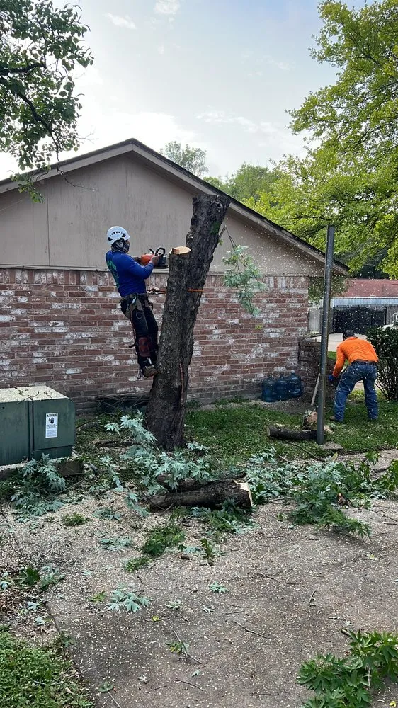 Affordable residential landscaping for outdoor upgrades in Houston, TX by Texas Elite Tree & Outdoors