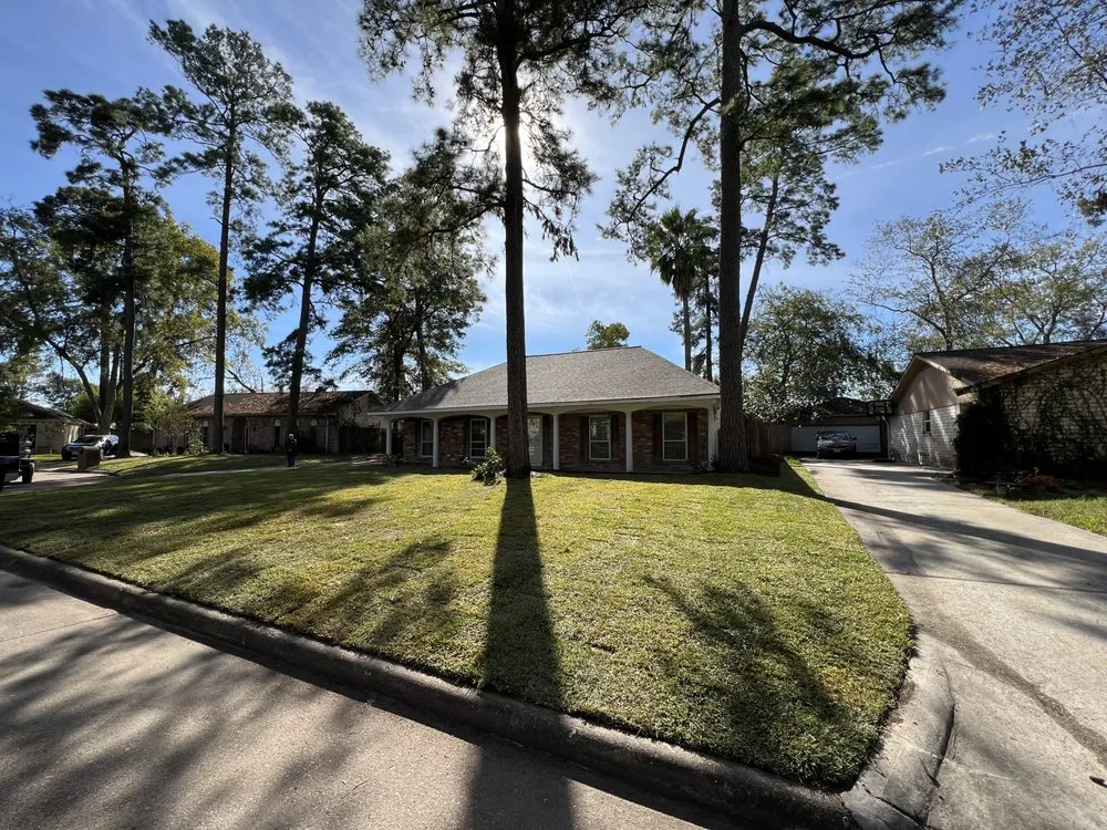 Professional landscape installation for year-round maintenance across Houston, TX - Texas Elite Tree & Outdoors