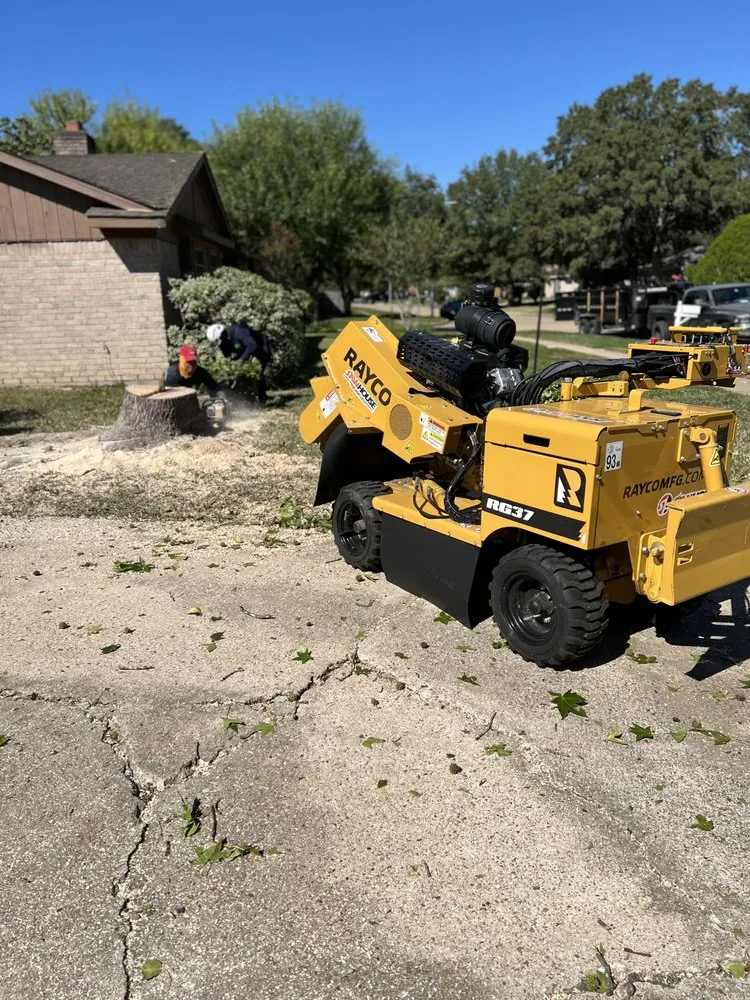 Affordable landscape installation in Houston, TX - Texas Elite Tree & Outdoors