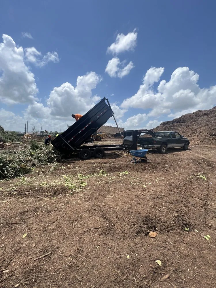 Professional landscape design in Houston, TX by Texas Elite Tree & Outdoors