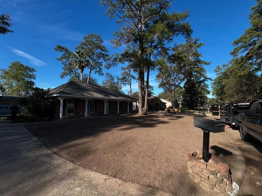 Trusted yard cleanup service in Houston, TX - Texas Elite Tree & Outdoors