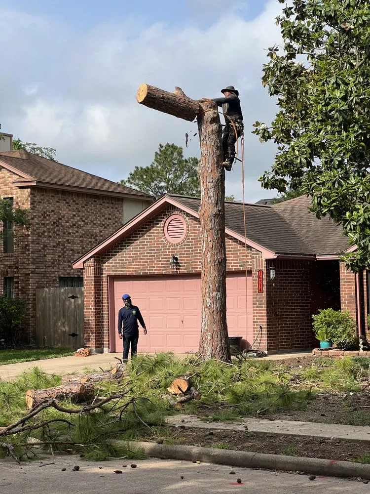 Trusted landscape installation experts serving Houston, TX - Texas Elite Tree & Outdoors