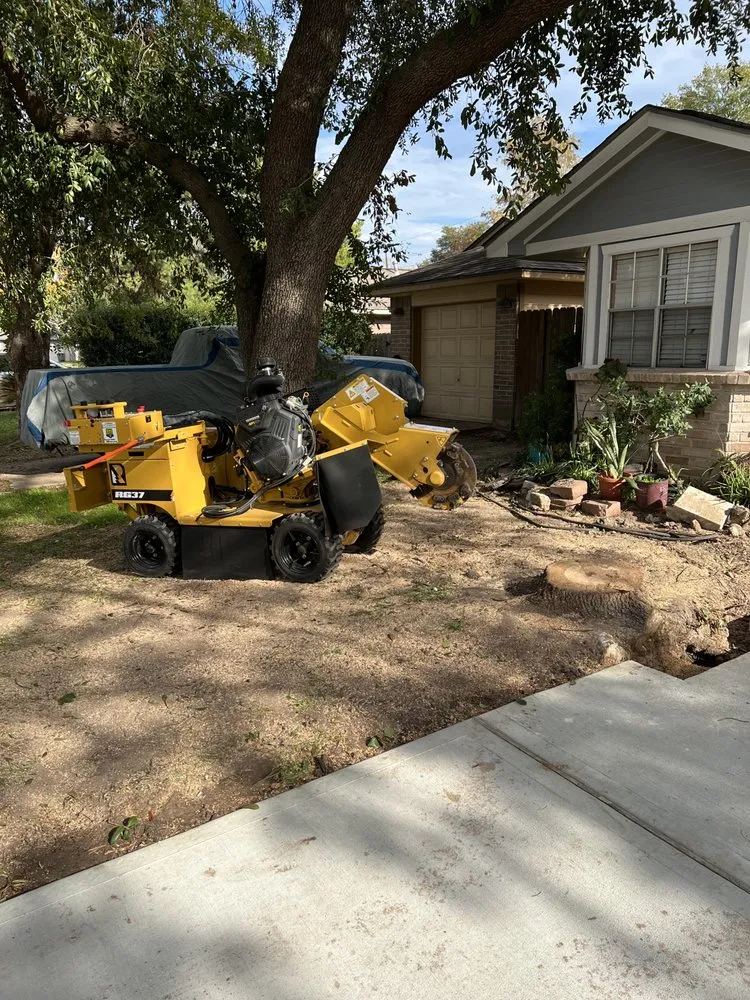 Expert residential landscaping experts serving Houston, TX - Texas Elite Tree & Outdoors