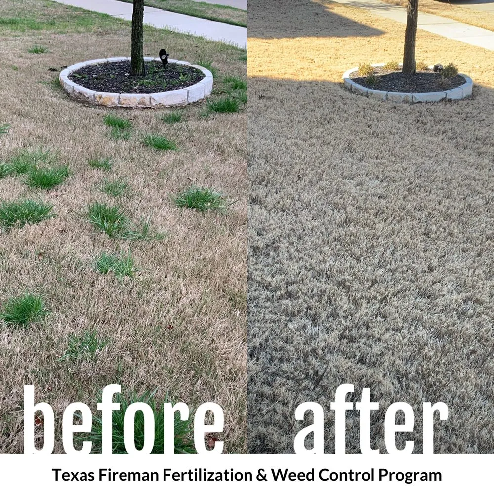 Top-rated landscaping services in McKinney, TX - Texas Fireman Lighting, Lawn & Landscape