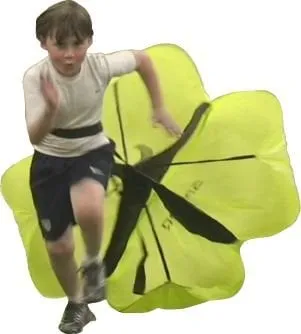 Local landscape design for beautiful yards across Austin, TX - Texas First Scapes