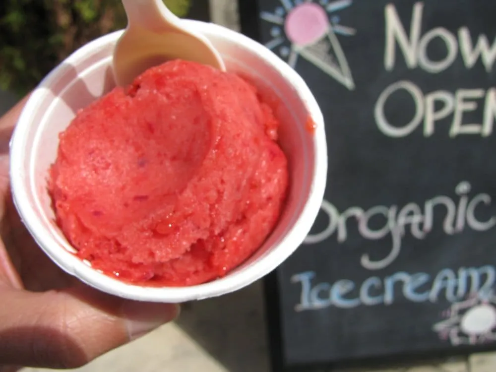 Top-rated yard maintenance for year-round maintenance across Austin, TX - Texas First Scapes