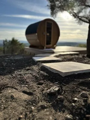 Texas First Scapes Logo