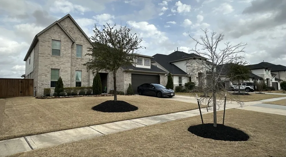 Top-rated garden landscaping experts serving Katy, TX - Texas ForeverGreen