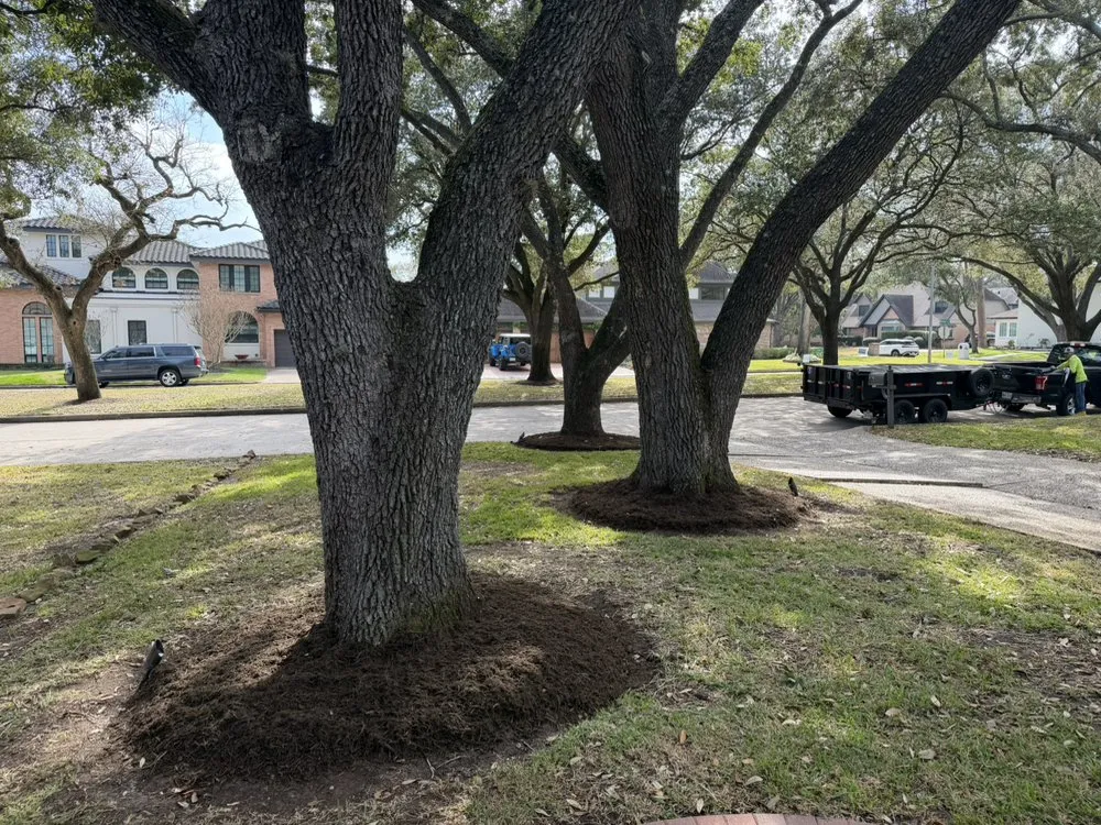 Professional lawn mowing service experts serving Katy, TX - Texas ForeverGreen