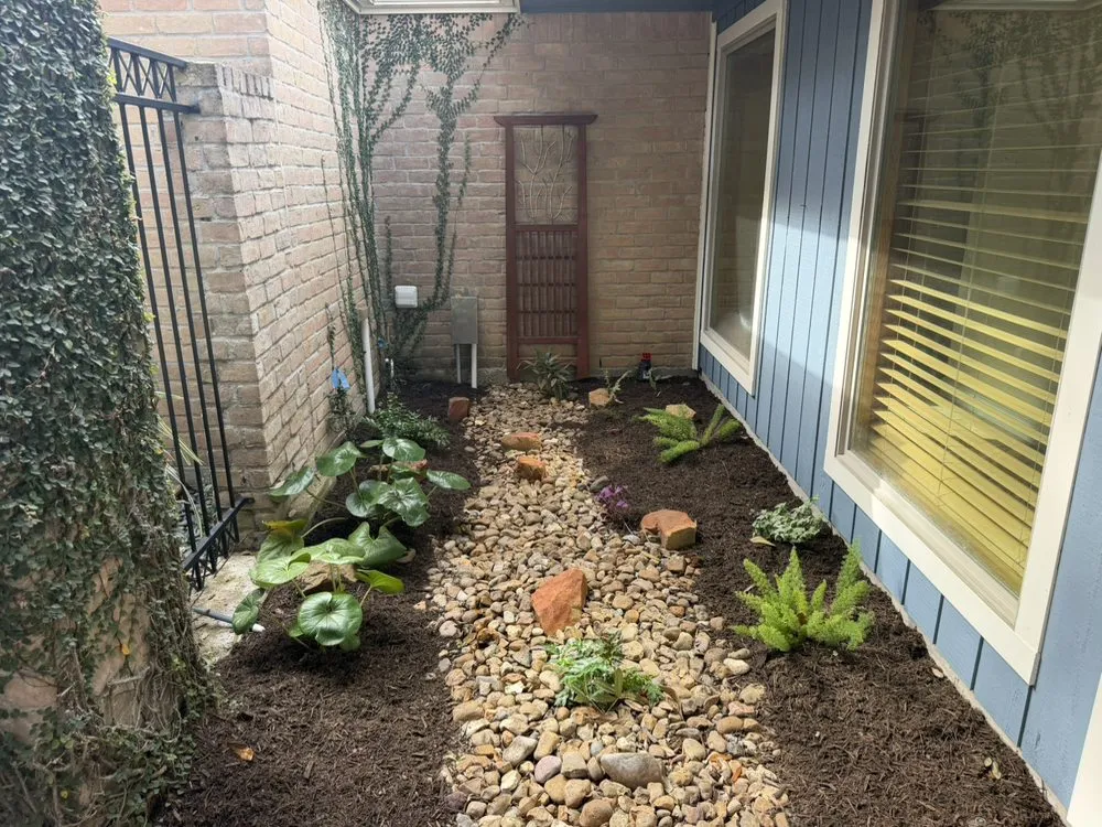 Top-rated lawn care service in Katy, TX by Texas ForeverGreen