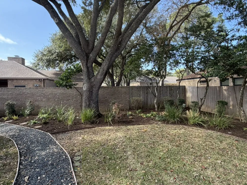 Top-rated yard cleanup service for outdoor upgrades in Katy, TX by Texas ForeverGreen