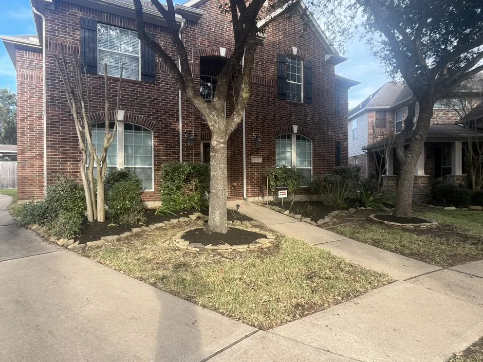 Professional landscape installation in Katy, TX by Texas ForeverGreen