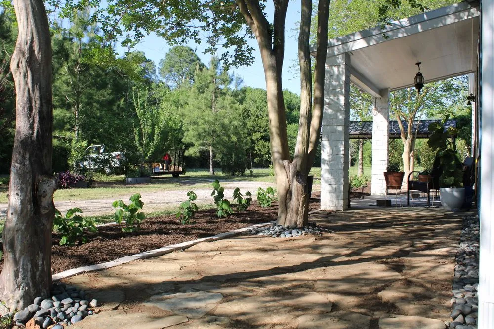 Professional yard maintenance experts serving Katy, TX - Texas ForeverGreen