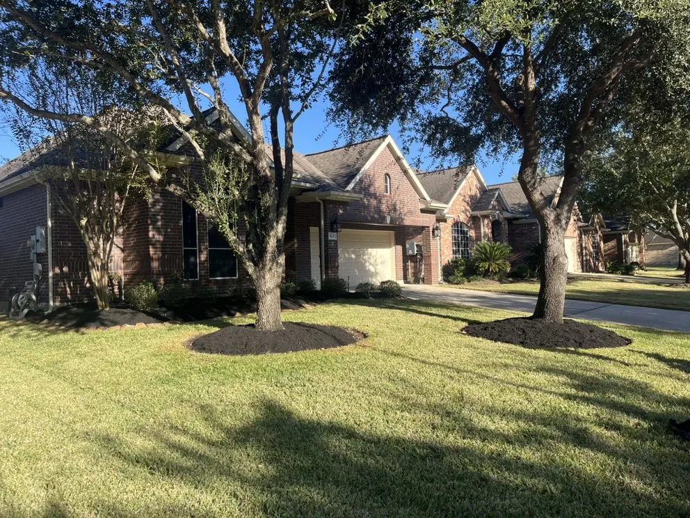 Reliable yard cleanup service in Katy, TX by Texas ForeverGreen