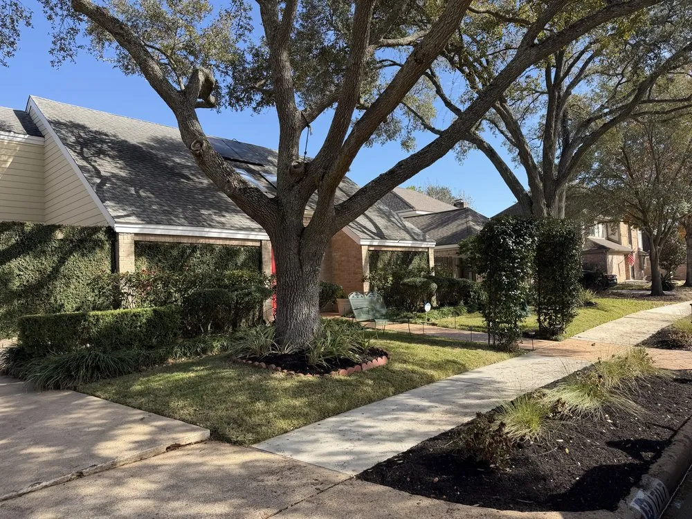 Reliable lawn care service experts serving Katy, TX - Texas ForeverGreen