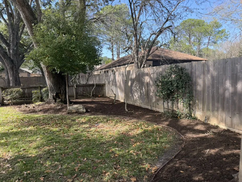 Professional yard cleanup service in Katy, TX by Texas ForeverGreen