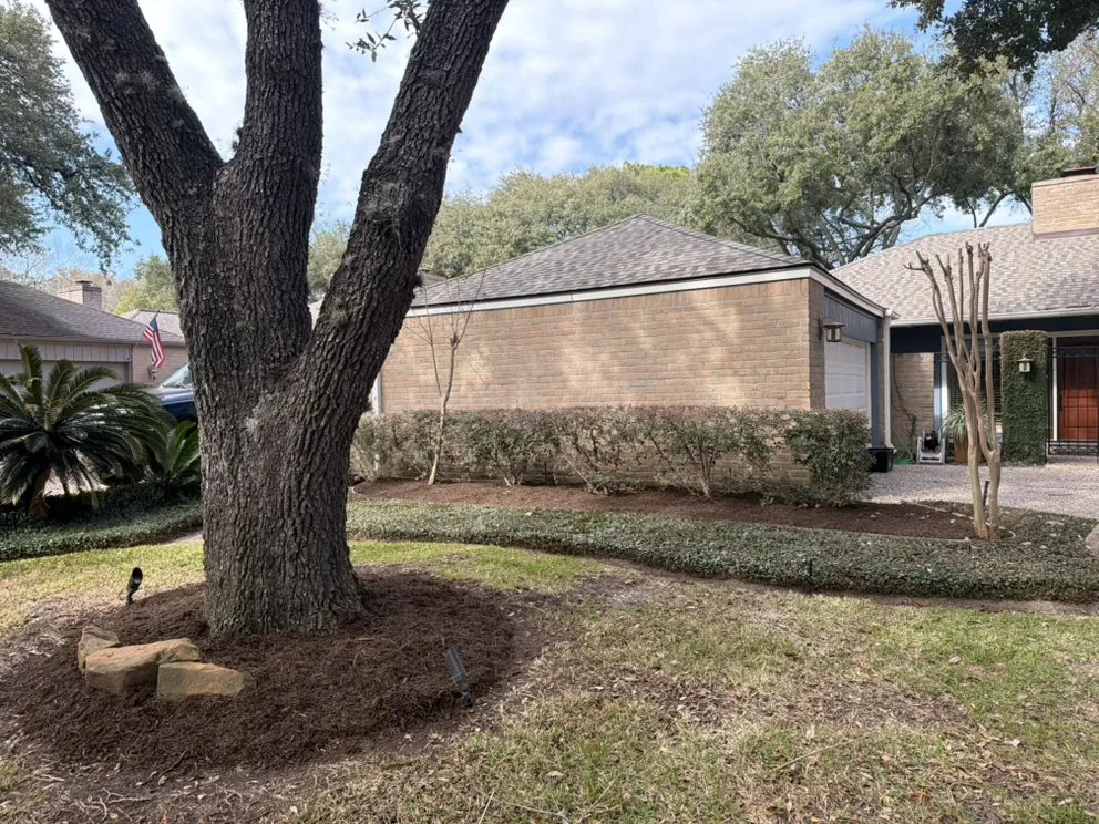 Top-rated landscape installation with custom design in Katy, TX by Texas ForeverGreen