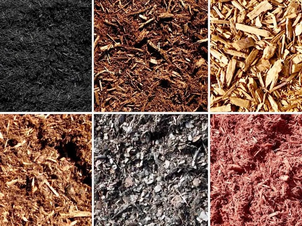 Reliable yard maintenance for year-round maintenance across Houston, TX - Texas Garden Materials