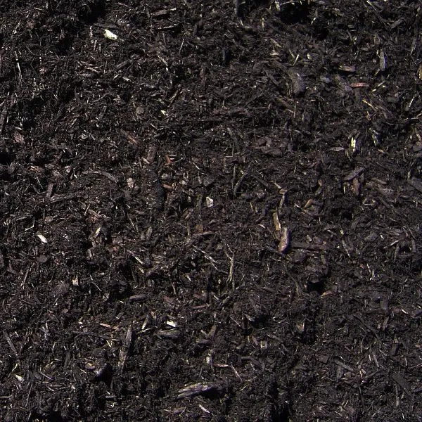 Affordable outdoor landscaping in Houston, TX - Texas Garden Materials