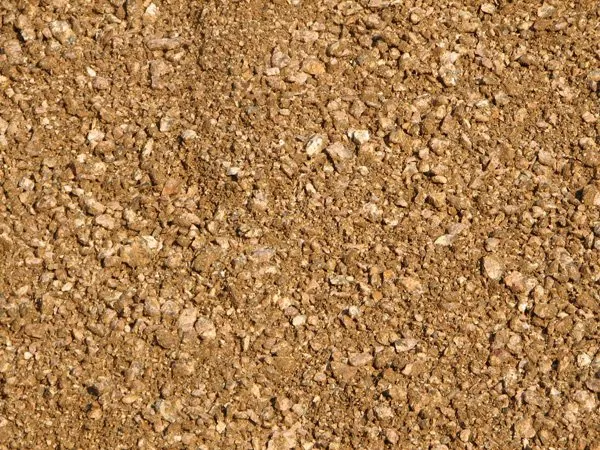 Trusted yard cleanup service for residential properties across Houston, TX - Texas Garden Materials