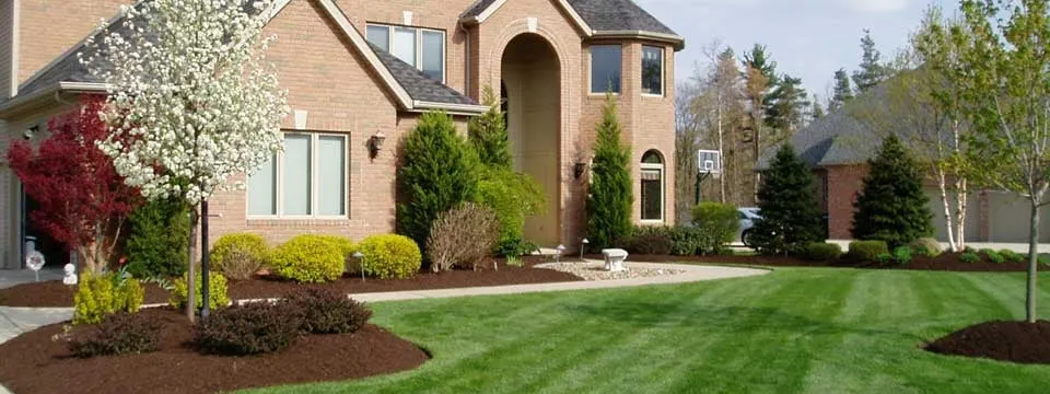 Expert landscape installation in Prosper, TX by Texas Grass Cutters